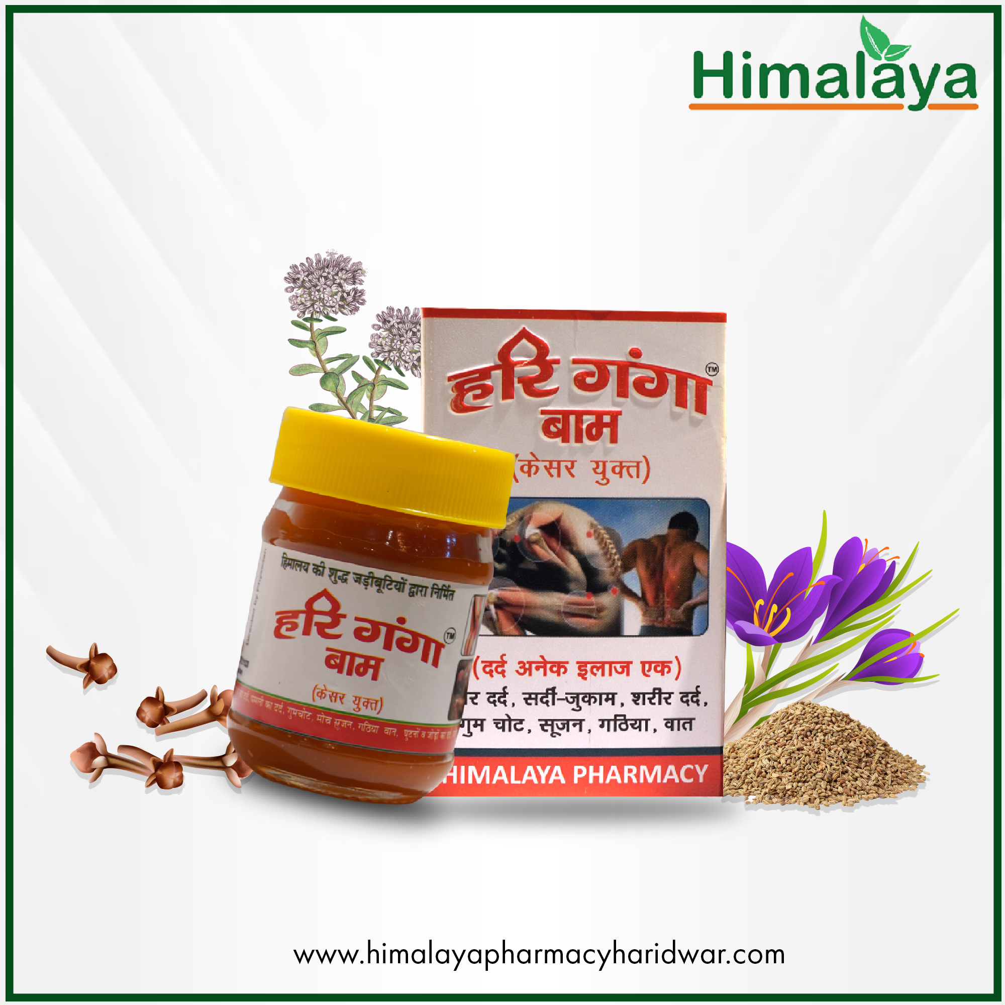 Himalaya Balm Featured Image