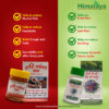 Himalaya Knee Pain Kit