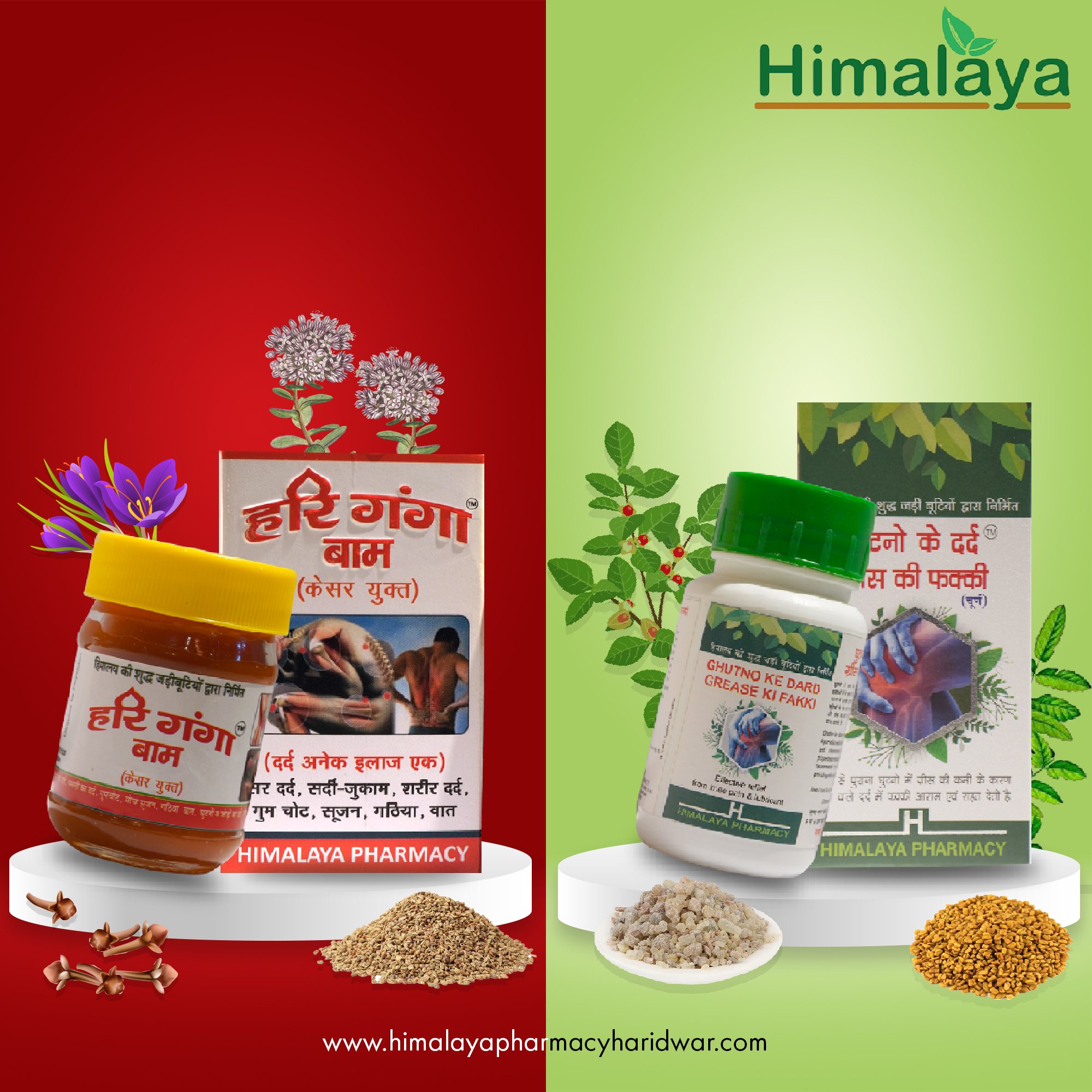 Himalaya Knee Pain Kit