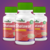 Himalaya Shatawar Churna